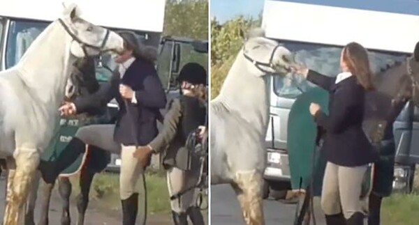 Βρετανία: Η γυναίκα που κλώτσησε και χτύπησε άλογο απομακρύνθηκε από τη θέση της σε οργάνωση