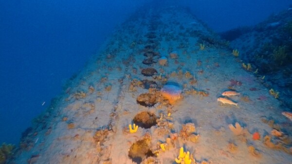 Υποβρύχιο 80 ετών βρέθηκε στον βυθό της Μυκόνου: Το ιστορικό ναυάγιο του Jantina από τον Β' Παγκόσμιο Πόλεμο