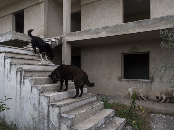 Η μαύρη πηγή της Αλεξίας