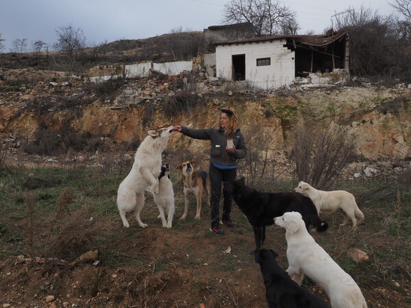 Η μαύρη πηγή της Αλεξίας