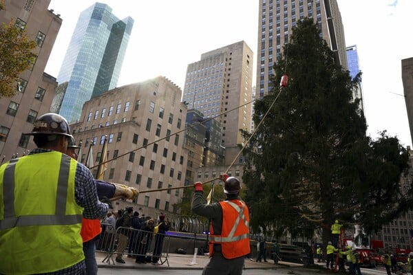 Home for the holidays: Rockefeller tree arrives in NYC