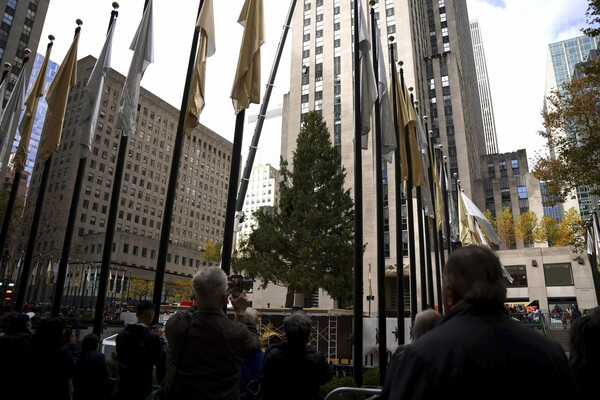 Home for the holidays: Rockefeller tree arrives in NYC