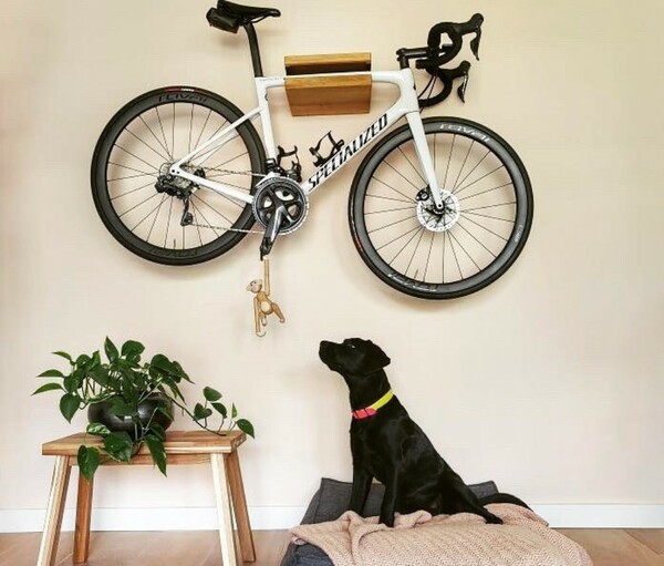 Τρόποι για να αποθηκεύσετε το ποδήλατο στο σπίτι -Ξεχωριστοί, γίνονται μέρος της διακόσμησης