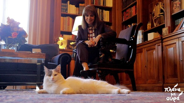 Η γάτα του Προεδρικού Μεγάρου- Η Σακελλαροπούλου μιλά για τη «γνωριμία» της με την Καλυψώ