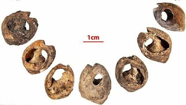 Ανακαλύφθηκε το παλιότερο κολιέ του κόσμου ένα κόσμημα 150.000 ετών