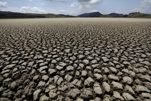 AP's best photos for 2021