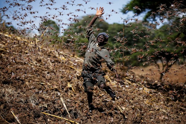 AP's best photos for 2021