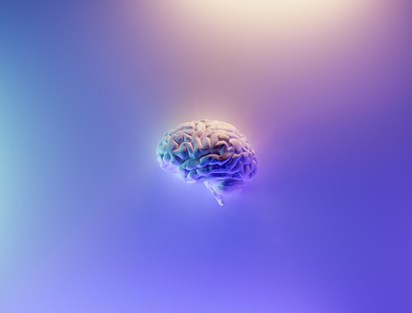 Επιστήμονες βρήκαν νέα στοιχεία για το πώς σχηματίζονται οι αναμνήσεις στον εγκέφαλο