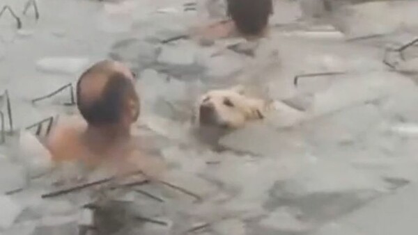 Δύο Ισπανοί αστυνομικοί βούτηξαν σε παγωμένη λίμνη για να σώσουν σκύλο