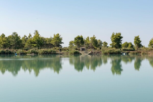 Ένα οδοιπορικό στον Αώο της άλλης πλευράς