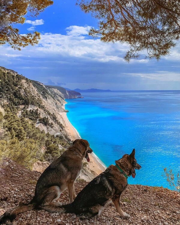 10 νέες φωτογραφίες απ' τα τέλεια ζώα των αναγνωστών μας #802