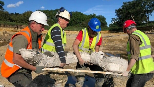 Five ice-age mammoths unearthed in Cotswolds after 220,000 years