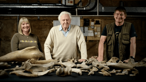 Ζευγάρ κυνηγών απολιθωμάτων ανακάλυψαν ένα «νεκροταφείο μαμούθ» στη Βρετανία