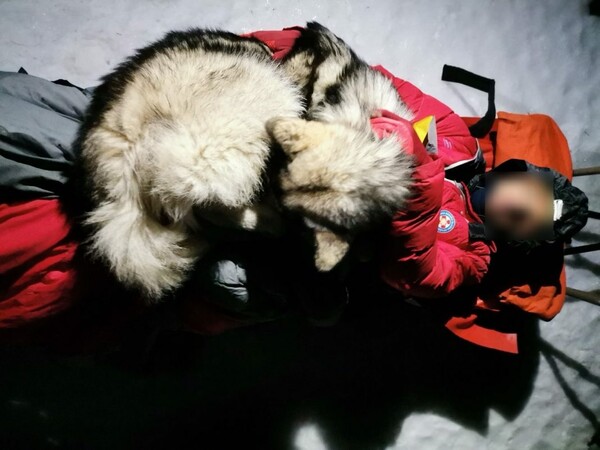 Σκύλος έσωσε πεζοπόρο σε βουνό- Ξάπλωσε πάνω του να τον κρατήσει ζεστό για 13 ώρες