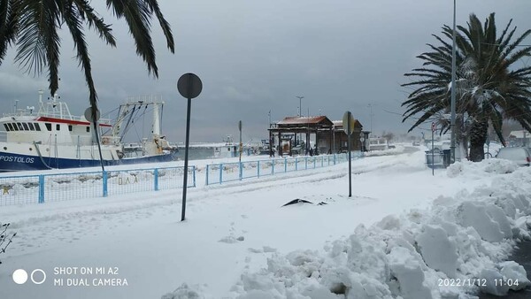 Διομήδης: Πού θα σαρώσει η κακοκαιρία τις επόμενες ώρες, χιόνια και στην Αττική - Έρχεται νέο κύμα ψύχους