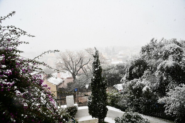 «Λευκή Αθήνα»: Εικόνες από τους τσολιάδες στο Σύνταγμα, την Ακρόπολη, τον Κήπο και τα χιονισμένα προάστια