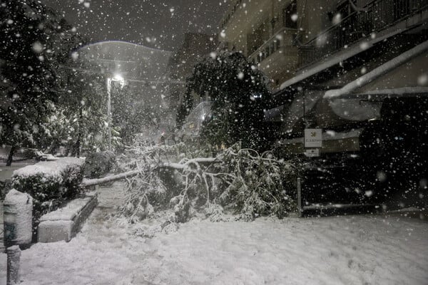 Επίσημο: Αργία αύριο στον δημόσιο και τον ιδιωτικό τομέα
