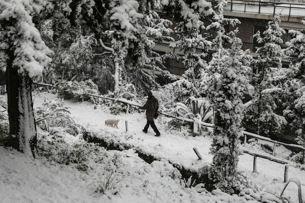 Το χιόνι καλύπτει «τα πάντα»: Στα λευκά η Ακρόπολη, το Σύνταγμα και τα προάστια