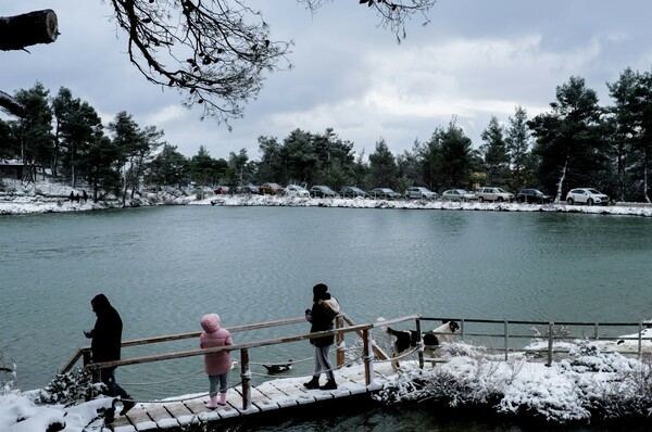 Κακοκαιρία «Ελπίς»: Μαγευτικές εικόνες από τη λίμνη Μπελέτσι στην Πάρνηθα