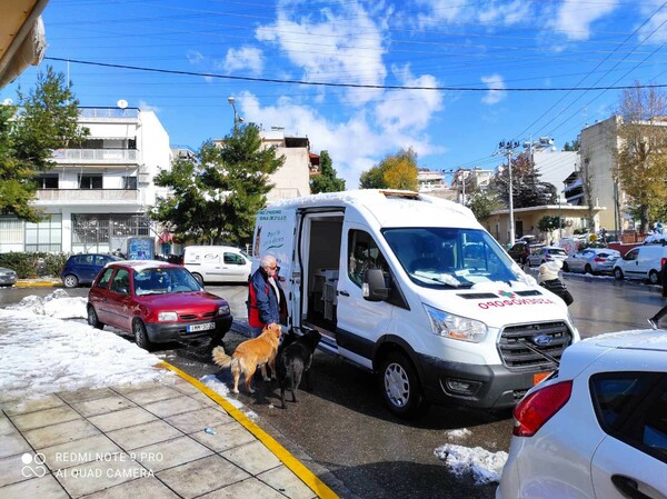 Κακοκαιρία Ελπίς: Ρίψεις τροφών για τα ζώα στο όρος Αιγάλεω