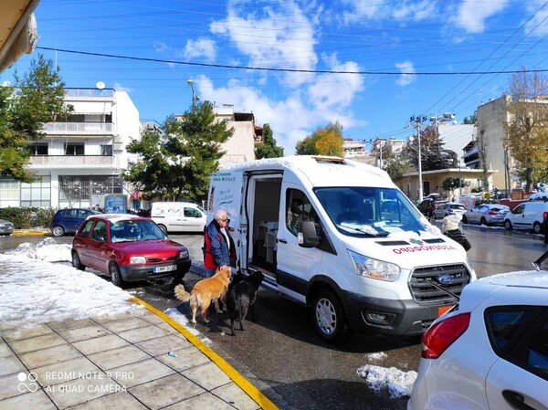 Κακοκαιρία Ελπίς: Ρίψεις τροφών για τα ζώα στο όρος Αιγάλεω 