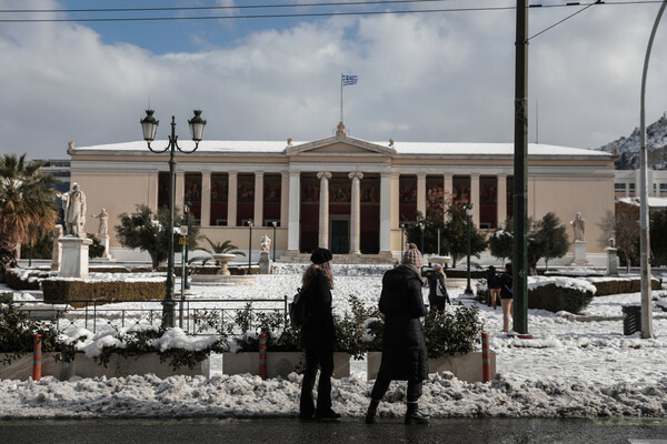 Κακοκαιρία: Δήμοι αποζημιώνουν για τις ζημιές από πτώσεις δέντρων σε ΙΧ -Οι δικαιούχοι & η διαδικασία