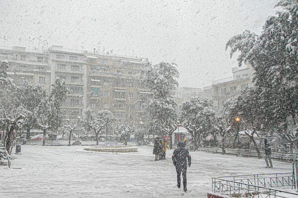 ΣΥΡΙΖΑ: Να δοθούν τώρα στη δημοσιότητα τα πρακτικά συνεδριάσεων για τον χιονιά