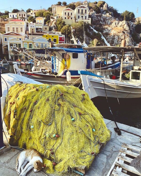 10 νέες φωτογραφίες απ' τα τέλεια ζώα των αναγνωστών μας #823