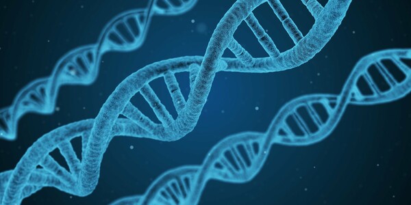 Ένα απλό τεστ DNA θα μπορούσε να εντοπίσει συχνές νευρολογικές παθήσεις