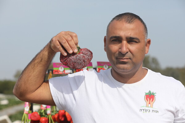 Η βαρύτερη φράουλα βρίσκεται στο Ισραήλ και μόλις κατέρριψε το Ρεκόρ Γκίνες