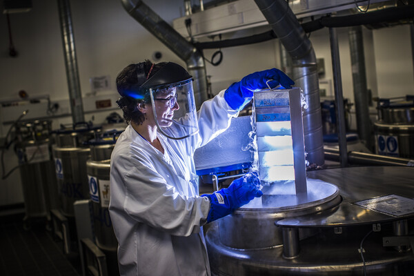 Stanford Scientists Create Synthetic Molecule That Can Destroy Cancer Tumors