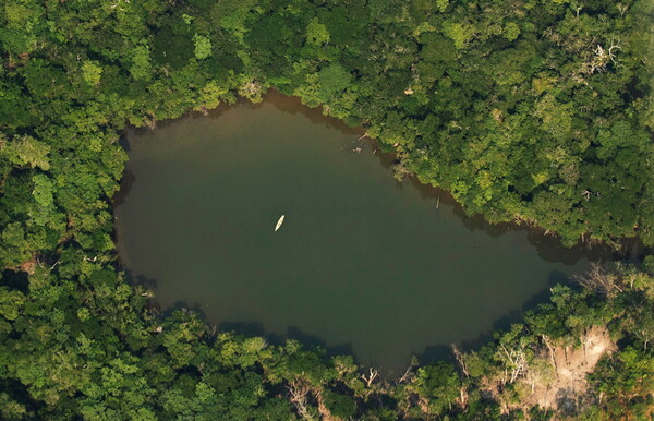 Το δάσος του Αμαζονίου πλησιάζει σε «κρίσιμο σημείο» προειδοποιούν επιστήμονες 