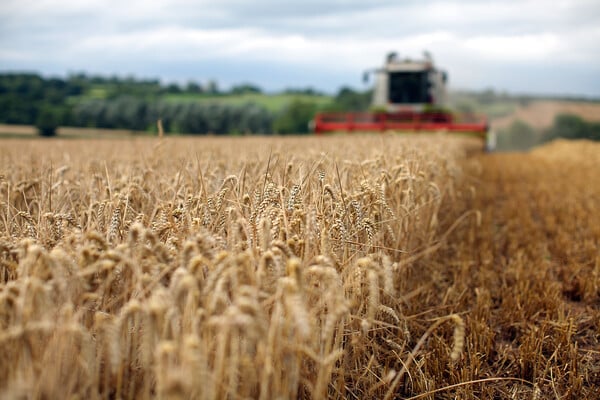 Η Σερβία απαγορεύει τις εξαγωγές σιτηρών και λαδιού λόγω του πολέμου στην Ουκρανία