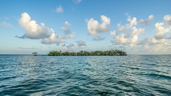 Αγόρασαν ιδιωτικό νησί στην Καραϊβική για να φτιάξουν τη δική τους χώρα