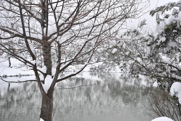 Καιρός: Στην «κατάψυξη» η χώρα - Χιονοκουρτίνες στη Ραφήνα - Δείτε LIVE πού χιονίζει τώρα 