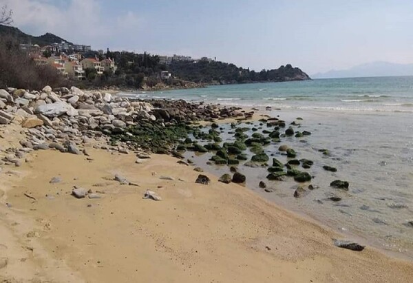 Καβάλα: Γιατί η θάλασσα υποχώρησε ακόμη και 30 μέτρα από την ακτή