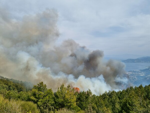 Φωτιά στη Σάμο- Επίγεια και εναέρια μέσα στην κατάσβεση