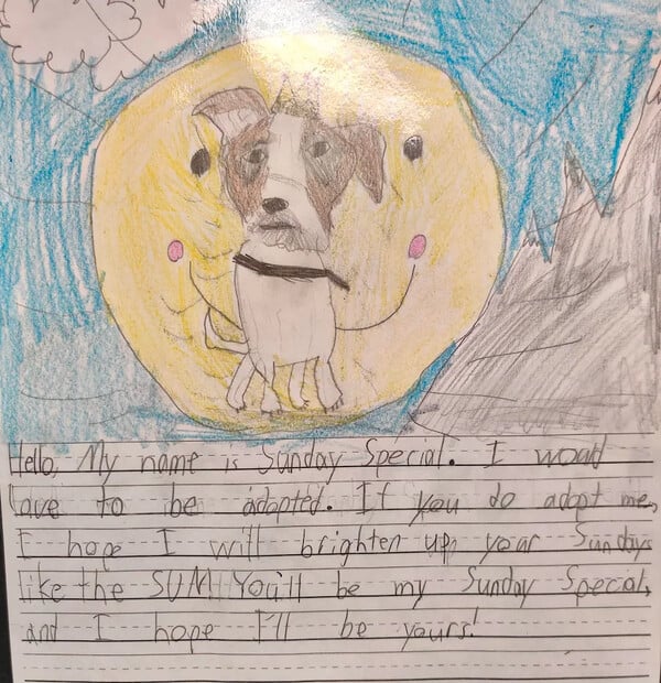 Παιδιά έγραψαν σημειώματα για σκύλους που ήταν στα «αζήτητα» καταφυγίου- Και είχε αποτέλεσμα