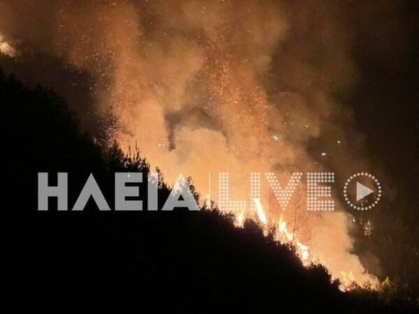 Ηλεία: Εφιαλτική νύχτα φωτιάς σε Λιβαδάκι και Ράφτη, στάχτη χιλιάδες στρέμματα δάσους