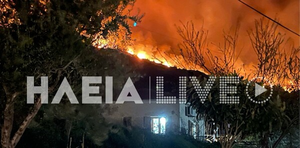 Ηλεία: Εφιαλτική νύχτα φωτιάς σε Λιβαδάκι και Ράφτη, στάχτη χιλιάδες στρέμματα δάσους