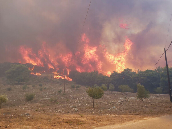 Ζάκυνθος: Μεγάλη πυρκαγιά στο χωριό Κοιλιωμένος- Σε δασική έκταση
