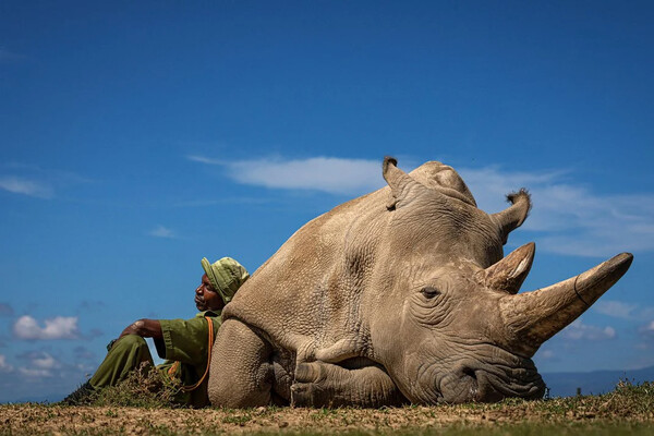 Smithsonian photo contest