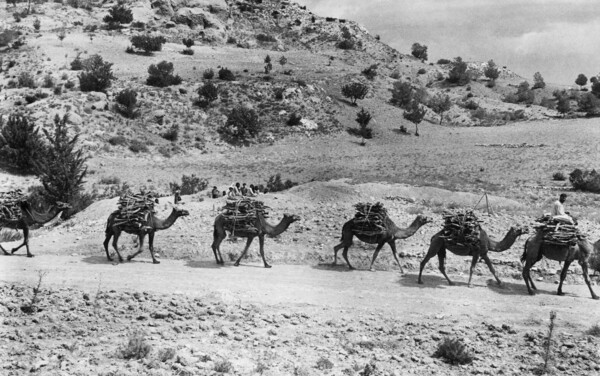 To τελος του σωματος-πολυποστ