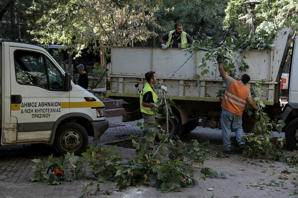 Τι σημαίνει το υπερβολικό κλάδεμα των δέντρων στην Αθήνα και τι επιπτώσεις θα έχει στο μικροκλίμα της;