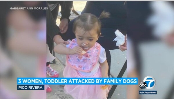 Μητέρα σκότωσε τα δυο σκυλιά της επειδή επιτέθηκαν στην κόρη της