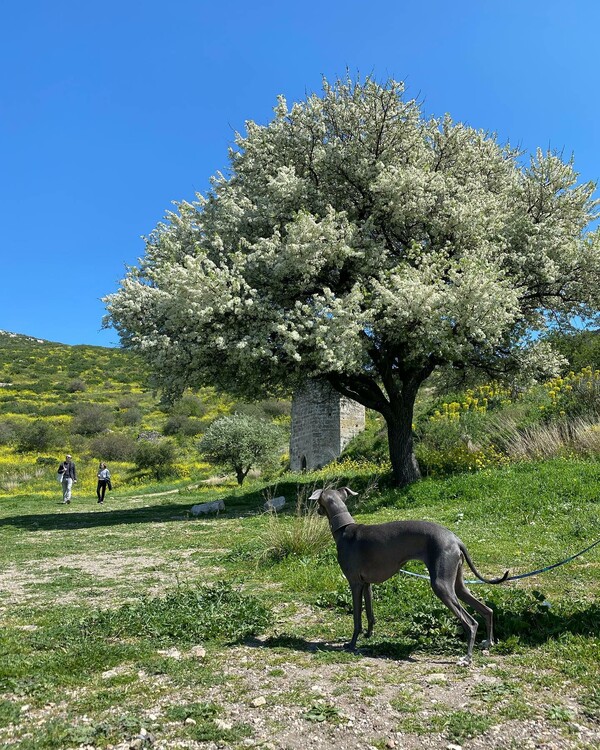 10 νέες φωτογραφίες απ' τα τέλεια ζώα των αναγνωστών μας #857