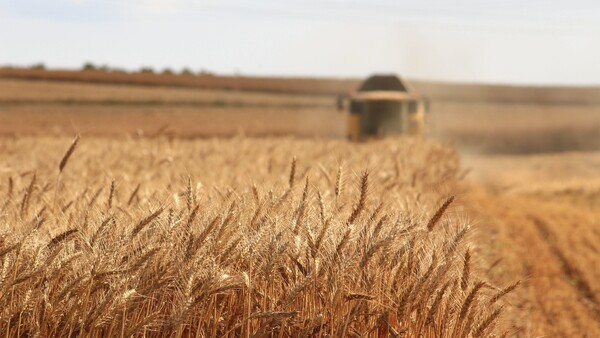 ΟΗΕ: Σχεδόν 25 εκατ. τόνοι σιτηρών αποκλεισμένοι στην Ουκρανία