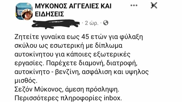 Μύκονος: Δίνουν 1.000 το μήνα για babysitting… σκύλου - H αγγελία στο Διαδίκτυο που έχει γίνει viral