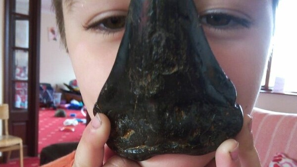 Αγόρι βρήκε τυχαία το δόντι ενός τεράστιου προϊστορικού καρχαρία