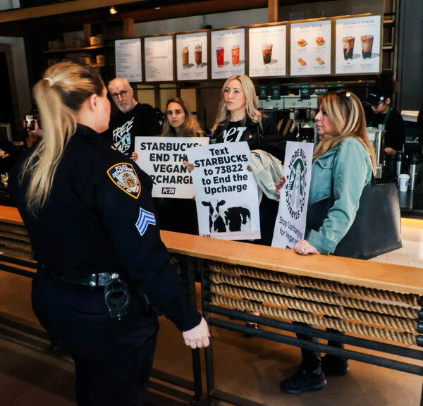 Ο Τζέιμς Κόργουελ κόλλησε το χέρι του σε πάγκο των Starbucks- Ο ηθοποιός συμμετείχε σε διαμαρτυρία της PETA